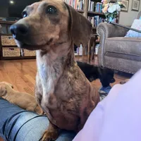 processed/347faa09-3a68-4f93-a8a4-715ba8354d48/facility/3af2e3a4-9fe2-4ea2-9aa7-d70e32801b3e