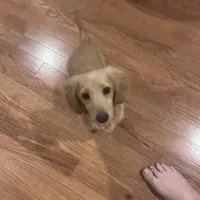 processed/347faa09-3a68-4f93-a8a4-715ba8354d48/facility/474df1a6-ea8d-45eb-a6b8-1fd2a562d673