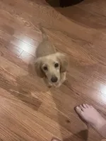 processed/347faa09-3a68-4f93-a8a4-715ba8354d48/facility/474df1a6-ea8d-45eb-a6b8-1fd2a562d673