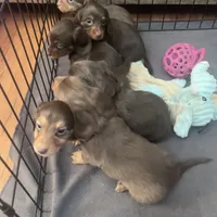 processed/347faa09-3a68-4f93-a8a4-715ba8354d48/facility/54cd7fb4-1736-46bd-b14b-dbcf4a97d2c0