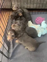 processed/347faa09-3a68-4f93-a8a4-715ba8354d48/facility/54cd7fb4-1736-46bd-b14b-dbcf4a97d2c0