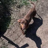 processed/347faa09-3a68-4f93-a8a4-715ba8354d48/facility/9caaf49a-a240-4f1f-b1c5-faff1232e608