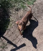 processed/347faa09-3a68-4f93-a8a4-715ba8354d48/facility/9caaf49a-a240-4f1f-b1c5-faff1232e608