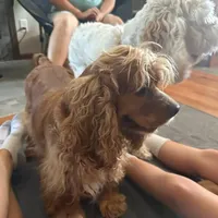 processed/347faa09-3a68-4f93-a8a4-715ba8354d48/facility/d2b9cb31-29b2-445f-a9d0-4793f36f8108