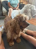 processed/347faa09-3a68-4f93-a8a4-715ba8354d48/facility/d2b9cb31-29b2-445f-a9d0-4793f36f8108