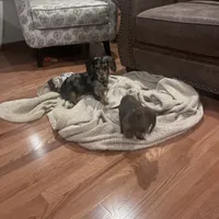 processed/347faa09-3a68-4f93-a8a4-715ba8354d48/facility/d8988deb-0e51-4756-899b-f60450a97855