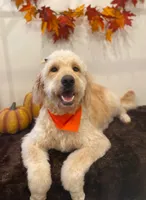 processed/3481c935-a9d8-4703-b8b4-53ad7fce5f15/facility/25391caa-4ce0-4f74-b646-cb1a8460e33e