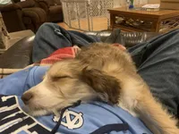 processed/3481c935-a9d8-4703-b8b4-53ad7fce5f15/facility/585c3ae8-1129-42f9-920b-3eea889e438a