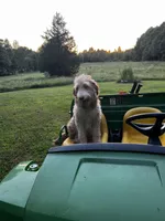 processed/3481c935-a9d8-4703-b8b4-53ad7fce5f15/facility/688eb643-8bbd-46cb-8e97-35cfa152f722