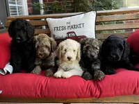 processed/3481c935-a9d8-4703-b8b4-53ad7fce5f15/facility/83f875de-f868-4f62-b78e-e1aa1b53441d