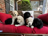 processed/3481c935-a9d8-4703-b8b4-53ad7fce5f15/facility/a2b33543-87be-41d2-95a7-080c16125e0a