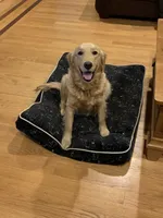 processed/3481c935-a9d8-4703-b8b4-53ad7fce5f15/facility/ac7cb156-e0d4-4d01-a0a7-70537d0c8565