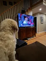 processed/3481c935-a9d8-4703-b8b4-53ad7fce5f15/facility/f6abe71e-67a0-43f0-91cb-c147b088e973