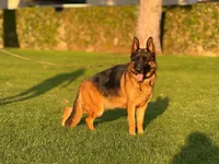 processed/3486cbe7-93b5-4f4b-aa3e-3d00ccd65ddf/facility/449a53ce-19b7-48d2-b727-f29d5cf12129