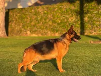 processed/3486cbe7-93b5-4f4b-aa3e-3d00ccd65ddf/facility/b69fdc82-f14b-49d8-91f3-5c8702824214