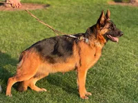 processed/3486cbe7-93b5-4f4b-aa3e-3d00ccd65ddf/facility/efbed561-de24-43f1-9dfe-b9826c71a1fb