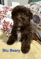 processed/348a6073-70f0-442d-907f-10722269e4db/listing/58d6b837-57ba-4e4c-be5d-504e25ad9d09/153688b8-a7df-48eb-8195-65af364e3f12