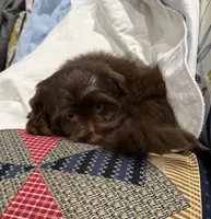 processed/348a6073-70f0-442d-907f-10722269e4db/listing/58d6b837-57ba-4e4c-be5d-504e25ad9d09/34a2a9cd-8ce6-4661-826d-88fec14226d7