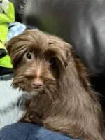 processed/348a6073-70f0-442d-907f-10722269e4db/listing/58d6b837-57ba-4e4c-be5d-504e25ad9d09/75b8d787-bc63-4e29-80a7-e14c3066bead