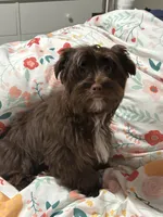 processed/348a6073-70f0-442d-907f-10722269e4db/listing/58d6b837-57ba-4e4c-be5d-504e25ad9d09/db7f41b0-fbf6-4ca0-ad02-3866279cd0d7