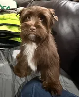 processed/348a6073-70f0-442d-907f-10722269e4db/listing/58d6b837-57ba-4e4c-be5d-504e25ad9d09/e29f0de2-fe2b-4387-866c-190ded2e81d3