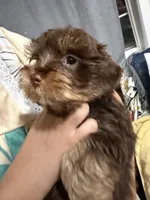 processed/348a6073-70f0-442d-907f-10722269e4db/listing/f1377d9f-4df6-4f76-919b-bbc9f3a4427a/44a49220-1059-4147-8aab-222812c8bfbe