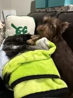 processed/348a6073-70f0-442d-907f-10722269e4db/listing/f1377d9f-4df6-4f76-919b-bbc9f3a4427a/544c0719-95f3-43d4-96a3-5520b4730293