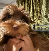 processed/348a6073-70f0-442d-907f-10722269e4db/listing/f1377d9f-4df6-4f76-919b-bbc9f3a4427a/954b12cc-db4a-49d0-a51a-841d77f2179f