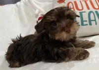 processed/348a6073-70f0-442d-907f-10722269e4db/listing/f1377d9f-4df6-4f76-919b-bbc9f3a4427a/9d196c00-9f08-447e-baf1-b88007943742