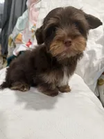 processed/348a6073-70f0-442d-907f-10722269e4db/listing/f1377d9f-4df6-4f76-919b-bbc9f3a4427a/d2cc8c1d-f544-42a3-a904-ee0ee1600526