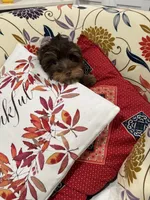 processed/348a6073-70f0-442d-907f-10722269e4db/listing/f1377d9f-4df6-4f76-919b-bbc9f3a4427a/f7cb3793-36db-49f0-abe8-d538c1c1d746