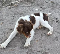 processed/3496d0da-5dd1-4401-be69-99aa8d20bbad/listing/2be091ff-f8cc-4cd9-9a24-5e3722535795/257e6b91-e52a-4d81-b3e6-937cbd9acba5