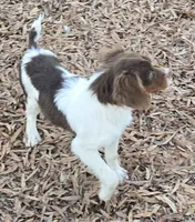 processed/3496d0da-5dd1-4401-be69-99aa8d20bbad/listing/2be091ff-f8cc-4cd9-9a24-5e3722535795/7845659f-f0b0-4bb5-9bf0-9e08d5f43346