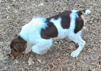 processed/3496d0da-5dd1-4401-be69-99aa8d20bbad/listing/2be091ff-f8cc-4cd9-9a24-5e3722535795/a5a55b68-3d9a-4144-ba8f-bb0db700d986