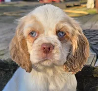 processed/3496d0da-5dd1-4401-be69-99aa8d20bbad/listing/fc1221c9-9dab-417c-8d55-0fe8101e0087/05951404-7c86-4516-9820-ef05298dfd79