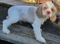 processed/3496d0da-5dd1-4401-be69-99aa8d20bbad/listing/fc1221c9-9dab-417c-8d55-0fe8101e0087/213f3584-5fbd-411b-8912-c0477f340a90