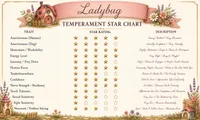 Ladybug, a female Miniature Goldendoodle for sale in Eugene, OR – 6 of 7
