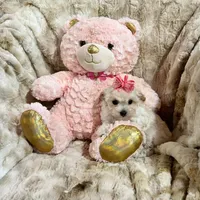 Light Apricot Girl, a female Maltipoo for sale in Rogers, AR – 1 of 2