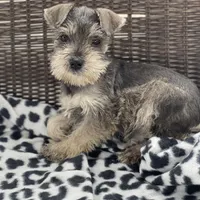 processed/34ab8b4f-3d2b-4c55-903d-a20f39417142/facility/40a463e8-0ccb-484b-b71c-ed67892f688d