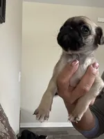 processed/34ab8b4f-3d2b-4c55-903d-a20f39417142/listing/3d4b6ab6-469f-487d-991f-4c673ac82b1b/4529c58c-366e-4539-a5eb-fefffcb05bef