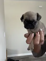 processed/34ab8b4f-3d2b-4c55-903d-a20f39417142/listing/3d4b6ab6-469f-487d-991f-4c673ac82b1b/85358f62-34b0-4aa6-b118-fb92a29d1651