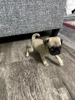 processed/34ab8b4f-3d2b-4c55-903d-a20f39417142/listing/3d4b6ab6-469f-487d-991f-4c673ac82b1b/b2f1ef65-f4b1-4a5e-8250-75cf9c88caaa