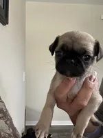 processed/34ab8b4f-3d2b-4c55-903d-a20f39417142/listing/3d4b6ab6-469f-487d-991f-4c673ac82b1b/da7199ea-9af3-46f2-8e93-2cc238d3a00f