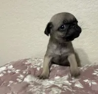 processed/34ab8b4f-3d2b-4c55-903d-a20f39417142/listing/505406c1-6621-4726-aa71-02ce954f4fc5/212d96f0-55de-4fb6-b166-46ee1d8ceb06