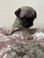 processed/34ab8b4f-3d2b-4c55-903d-a20f39417142/listing/505406c1-6621-4726-aa71-02ce954f4fc5/60cec4d6-7cd4-47ba-9c76-51b4ba839c5a