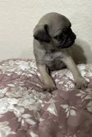 processed/34ab8b4f-3d2b-4c55-903d-a20f39417142/listing/505406c1-6621-4726-aa71-02ce954f4fc5/6feed1f3-6036-4e6d-9d7a-1e835e4ce2fc