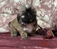 processed/34ab8b4f-3d2b-4c55-903d-a20f39417142/listing/6870d47b-efba-483b-9689-0cb3c4cfdd54/e20b9d6c-f69e-4192-8e09-8941d11cde5b