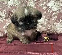 processed/34ab8b4f-3d2b-4c55-903d-a20f39417142/listing/6870d47b-efba-483b-9689-0cb3c4cfdd54/efe6c216-cd88-415f-9f11-bb8f3f3887ea