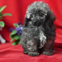 processed/34b84c52-1df5-4071-9dec-71589c76a803/listing/bad05870-8a7e-4401-9470-063f8219fc6a/6371e58d-f4aa-453b-8d86-5cff16dc8ce9