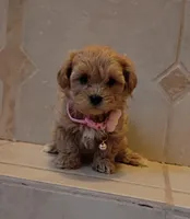 processed/34ba493f-41e4-428c-a0d0-804cf2f27d2a/listing/60e5d226-94da-4d15-a400-8d7a88946020/31a073c0-cd57-4553-b7ea-f09f6d65d29f